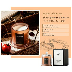 GOLWIS A}Lh S10 yEẻʎEn[uz VRf v[g   Mtg A} \CLh 3w 낤 k ؍ ̓ʎ n[u   bNX 