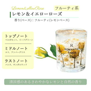 GOLWIS A}Lh S6 v[g   WFLh Mtg A} [[Lh 3w  낤 k ؍ ̓ ʎ n[u   bNX {^jJ a