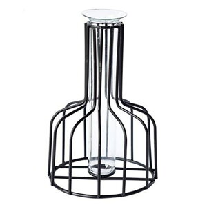 GOLWIS ACA C[ t[ IjI onion t[x[X X`[ ԕr ֑} ԕr t[ԕr A k ؍ CeA G hCt[ Vv  Q