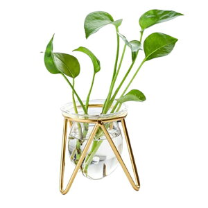 y10OFFN[|I11/27()1:59܂ŁzGOLWIS ACA C[ t[ IjI onion t[x[X X`[ ԕr ֑} ԕr t[ԕr A k ؍ CeA G h