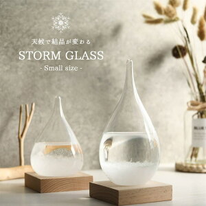 GOLWIS Xg[OX Cیv G KIxv e|hbv ^ VC\  u IuWF VC CeAG k 킢 v[g Mtg 蕨 a z