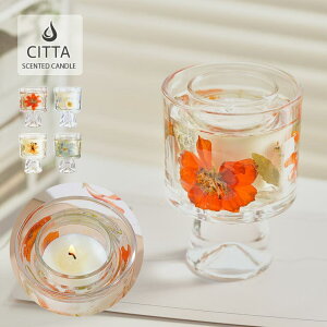 GOLWIS A}Lh Mtg v[g  e pbP[W 񂰑 hCt[  VgX WX~ t[    a 蕨 j ̓