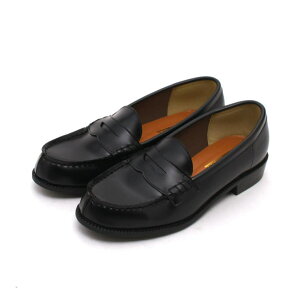 Brignton RC[t@[ [t@[ tH[}V[Y fB[X }jbV ubN  uE ʋ ʊw ɂȂ fB[X[t@[ V[YEC