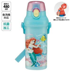 SkateryKIDSz   vX`bN e 480ml H@Ή LbY c ^b` skater XP[^[ PSB5SANAG AG 24N g}[Ch ̎q 