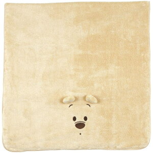 SkateryKIDSz oX^I z  q qǂ }CNt@Co[ v[ z ^I  XP[^[ TODR1y킢 LbY XC~O C C C Mtg v[g ܂