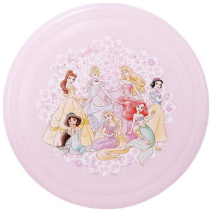 SkateryKIDSz tCO fBXN 24cm tXr[ AEghA X|[c W[ OFB1 XP[^[ skater fBYj[ vZX ̎q qy O  LbY q ^ V  