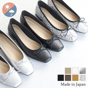 SHOE FANTASY { XNGAgD oGpvX oGV[Y y _炩 y`  ɂȂ  V[YEC