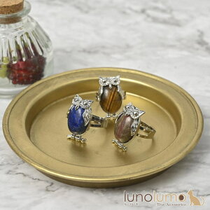 lunolumo w O fB[X VR ӂ낤  ^CK[AC iJCg sXY t[TCY N ANZT[