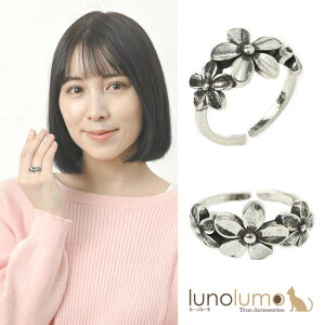 lunolumo w O fB[X ^ K^   t[  JWA v[g t[TCY N ANZT[