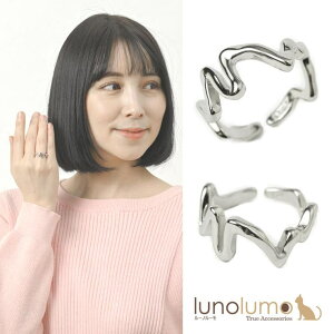 lunolumo w O fB[X ^ Vo[ I  JWA v[g t[TCY N ANZT[