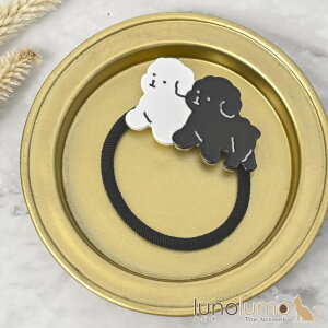 lunolumo wAS S wAANZT[ fB[X  Ck  v[h    H wAANZT[