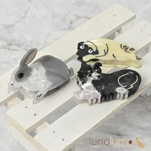 lunolumo wANbv oXNbv wAANZT[ fB[X  Ck  pO R[ H wAANZT[