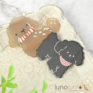 y10OFFN[|I12/11()1:59܂Łzlunolumo wANbv tH[NNbv wAANZT[ fB[X  Ck  v[h   H wAANZT[