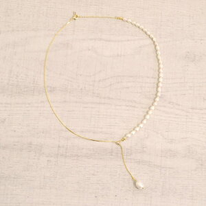 FACION Wp[XCh`F[lbNX@^wƎ ANZT[