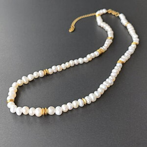 FACION Wp[fUCXeXlbNX fB[X T[WJXeX W^ ^ w Ǝ  ANZT[