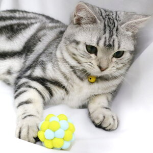 y10OFFN[|I12/11()1:59܂ŁzSneepDip yp030zybg||x{[ t@bVG