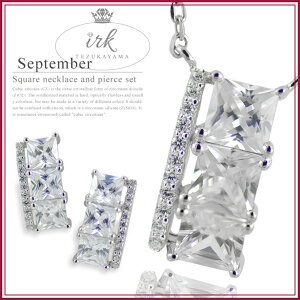 ˎRWG[ yʌzlbNX sAX Zbg XNGA Vo[925 Vv WG[ fBX ANZT[ AM[ l v[g Mtg lC 킢 