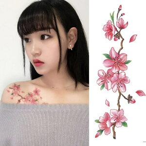 Pinky&Refine ^gD[V[ @@ԁ@@{fBV[@h@ZNV[@in@nEB@RXv@j [