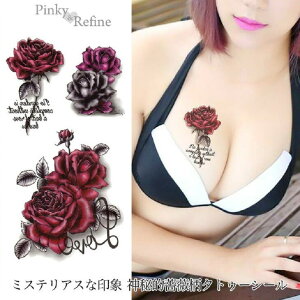 Pinky&Refine KN  {fBV[ h ZNV[ in nEB RXvj QECeAG