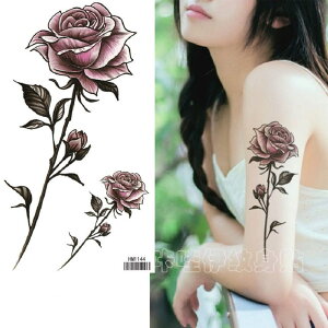 Pinky&Refine ^gD[V[ aZNV[KN p[v[Y o {fBV[ h ZNV[ ]ʃV[ n nEB Ԋ@ [
