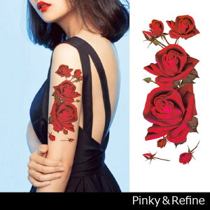 Pinky&Refine [gKN ^gD[V[ ^ {fBV[ ^g MKN ZNV[ ]ʃV[ n nEB RXv |Cg {fBV[ [