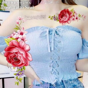 Pinky&Refine ȃZNV[ KN ^gD[V[ o sN {fBV[ h ZNV[ ]ʃV[ n Ԋ@  ^gD[V[ tFCN^gD[ [