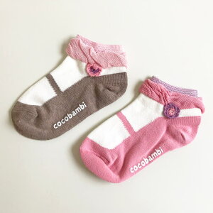 Filloie 2g V[g \bNX ԃ`[t oGV[Y |\bNX Zbg LbY ̎q  q ǂ qǂ LbYqpC  킢 |Cg oG ct 