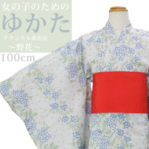 ̂ꉮ  i`n q   AC{[ 100cm ߁E