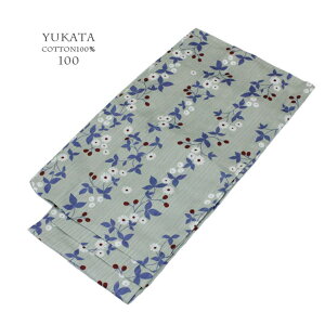 ̂ꉮ  i`n q  x[ O[ 100cm ߁E