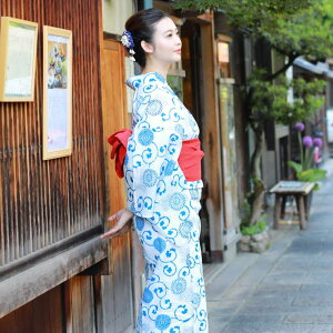 ̂ꉮ fB[X  Pi Ȗi23j zCgn u[n e ߁E