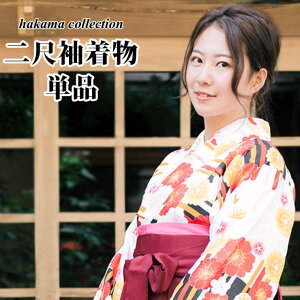 ̂ꉮ ڑ Pi y02z ߁E