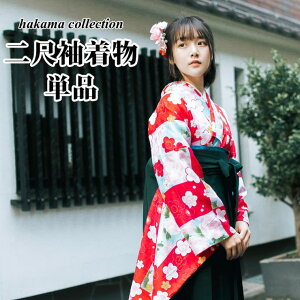 y10OFFN[|I11/27()1:59܂Łẑꉮ ڑ Pi y05z ߁E