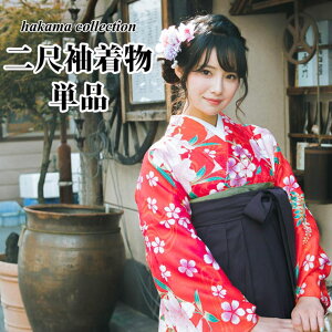 y10OFFN[|I11/27()1:59܂Łẑꉮ ڑ Pi y09z ߁E