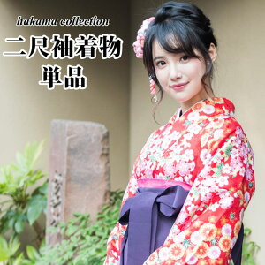 y10OFFN[|I11/27()1:59܂Łẑꉮ ڑ Pi y12z ߁E