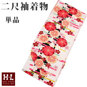 ̂ꉮ HLiAbVEGj ڑ Piy04zς ߁E