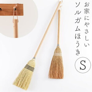 BACKYARD FAMILY \KzEL X[sOV_[ S QECeAG