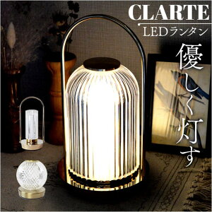 y10OFFN[|I11/27()1:59܂ŁzBACKYARD FAMILY Ne LED^ AEghAELv