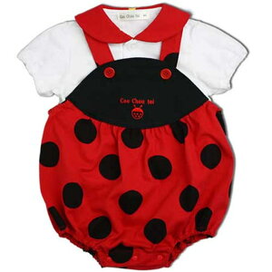 ~jr[Y y uEXt p[XzegE@@xr[ LbYq@Xqtp[X@݁@݃p[X@LOBe@Ȃ肫@60cm@70cm@80cm@xr[ R