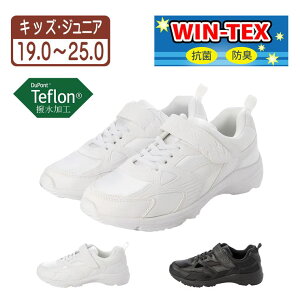 K's PLUS LbY WjAp Xj[J[ qp ^C ʊwC XN[V[Y jOV[Y etH RۖhL 3DC\[ y h xk_24869 V[YEC