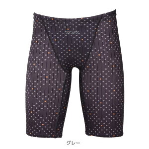 SAFS j Y R[`ƈꏏɍ Kp  tBbglX j ns-2010 X|[cEFAEtBbglXEFA