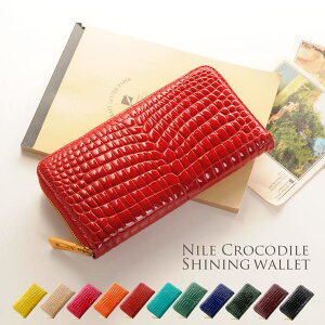 sankyo shokai NR_C z VCjO H ꖇv Z^[ fB[X w[ ^J `[ S20F z