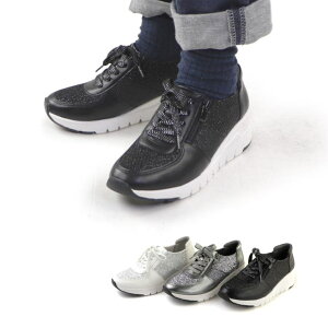 y10OFFN[|I11/11 ()1:59܂ŁzHashed Coorde }X`Fb^@maschietta@Ob^[Xj[J[u2022Vv V[YEC