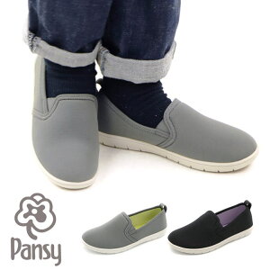 y10OFFN[|I11/11 ()1:59܂ŁzHashed Coorde pW[ pansy yʃjbgXgb`Xb|V[Y V[YEC