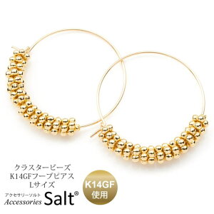 ANZT[Salt t[v sAX NX^[ r[Y LTCY K14GF S[h tBh Ԃ O 傫  ւ m AM[ ANZT[