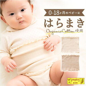 y10OFFN[|I12/11()1:59܂ŁzBACKYARD FAMILY POMPKINS BABY I[KjbNjbg ȂEH[}[ xr[