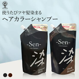 【10％OFFクーポン！8/11(火)1:59まで】Cosme Dream 白髪染め シャンプー 450g 1本で3役 カラーシャンプー 白髪 白髪隠し 白髪ぼかし シャンプー トリートメント ヘアマニュキュア 男性 女性 ブラック ブラウン ヘアカラー