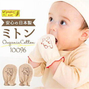 y10OFFN[|I12/11()1:59܂ŁzBACKYARD FAMILY POMPKINS BABY I[KjbN~g xr[