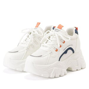 [XfB[X zF C bV  [XAbv Xj[J[  fB[X C AO[V[Y t  JWA ݊ ANeBu Xg[g ؍ RA Vv X|