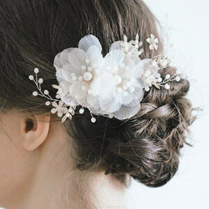 [XfB[X VA[ t[ {^jJ p[ wbh Nbv  fB[X wbhhX eBA Ԋ wAANZT[  EGfBO 񎟉 OB p[eB[ u