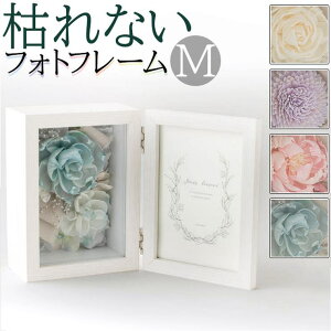 BACKYARD FAMILY \t[ tHgt[ gXyAgM QECeAG